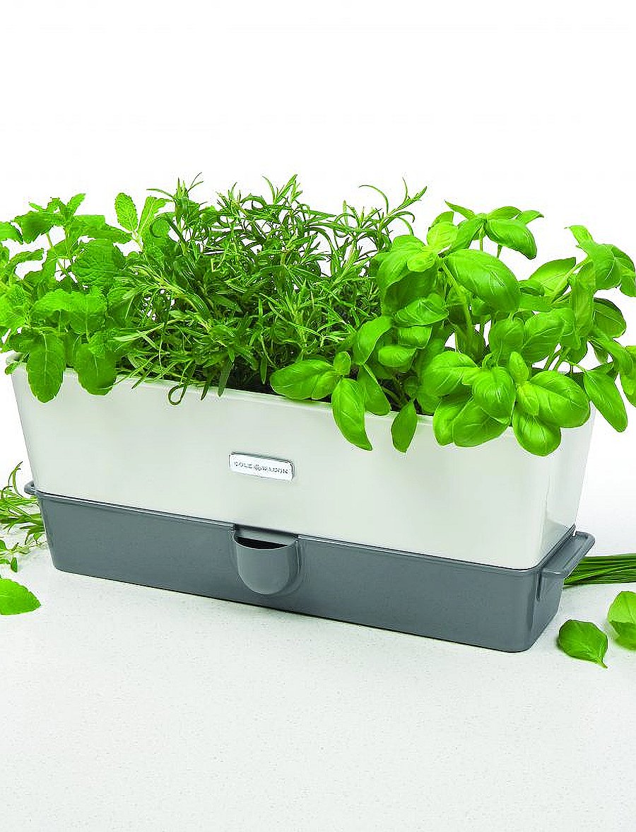 Cole & Mason - Self-Watering Herb Keeper Triple - white - 4