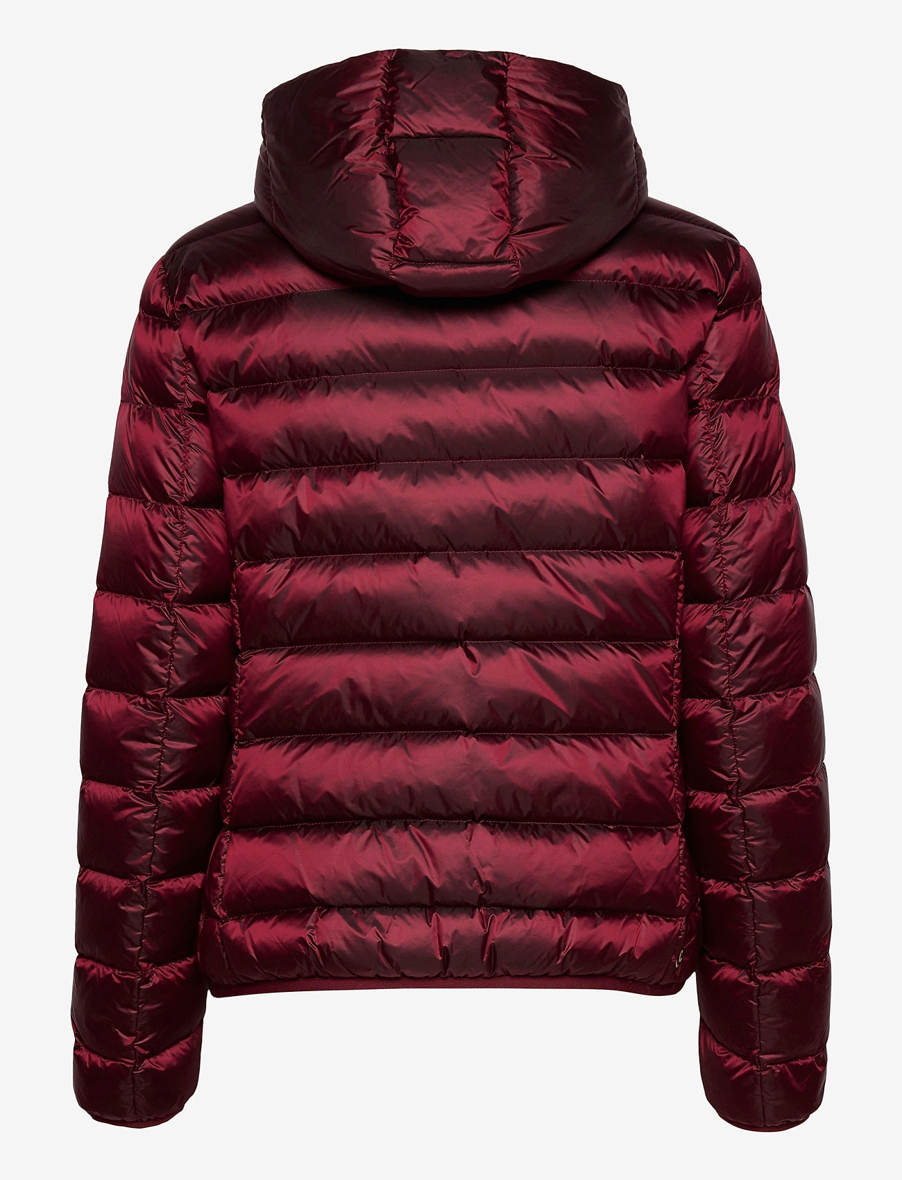 Colmar - womans down jacket - violette - 1