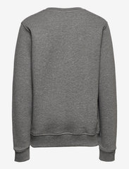 Colmar - GIRLS SWEATSHIRT - sportiska stila džemperi - grey melange - 1