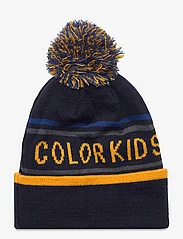 Color Kids - Hat - Logo CK - najniższe ceny - limoges - 1