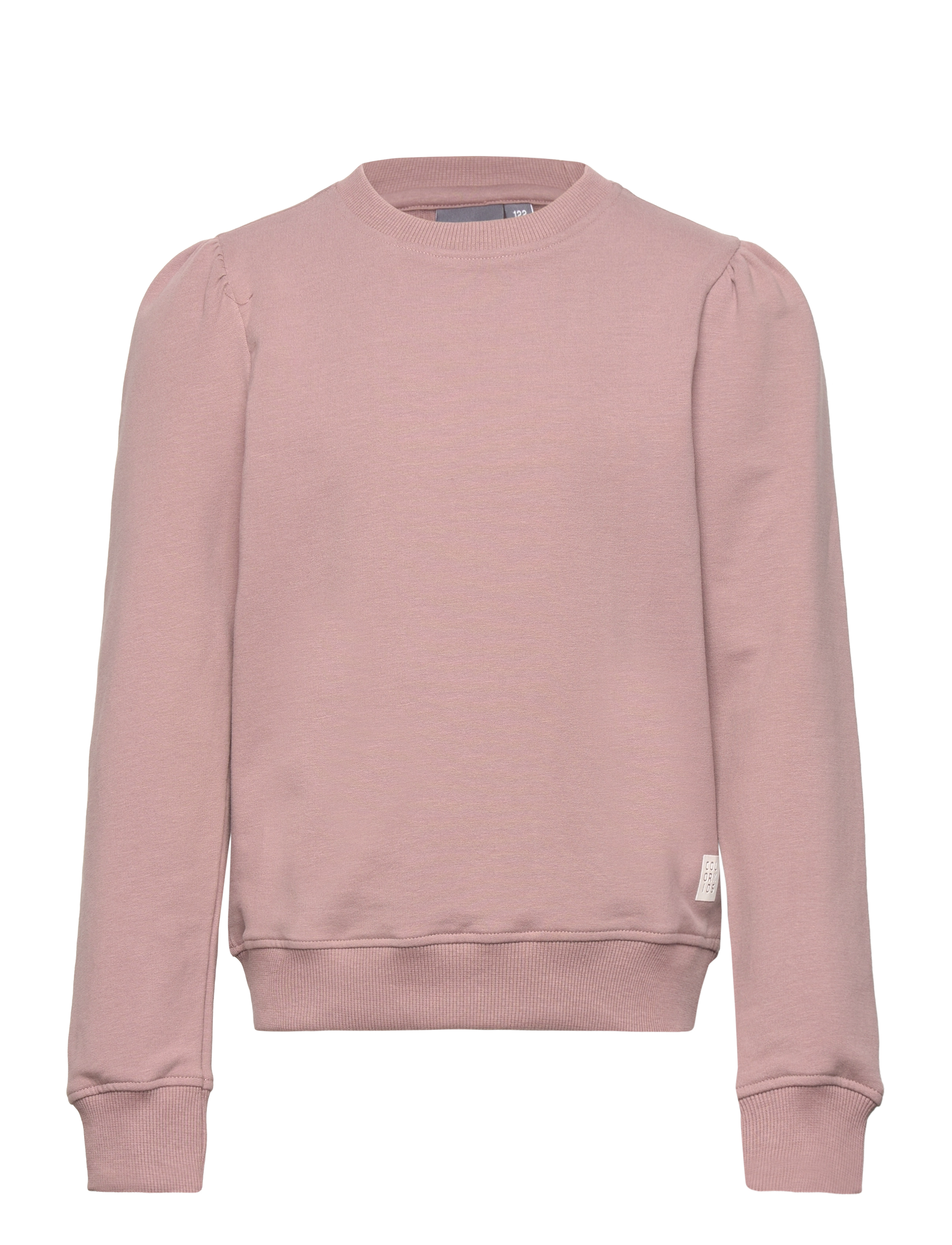 Color Kids - Sweatshirt - antler - 0