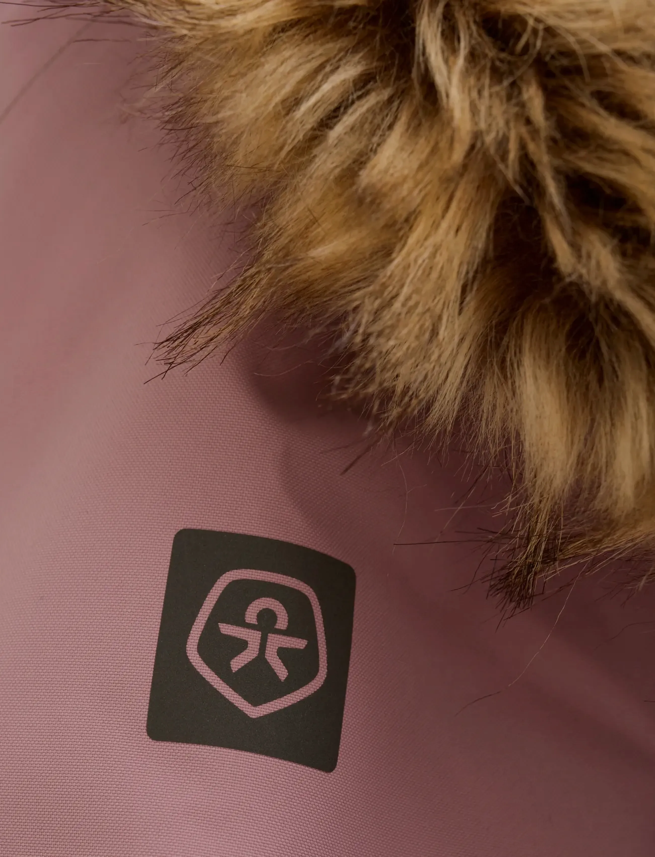 Color Kids - Parka W. Fake Fur - skijacken - woodrose - 3
