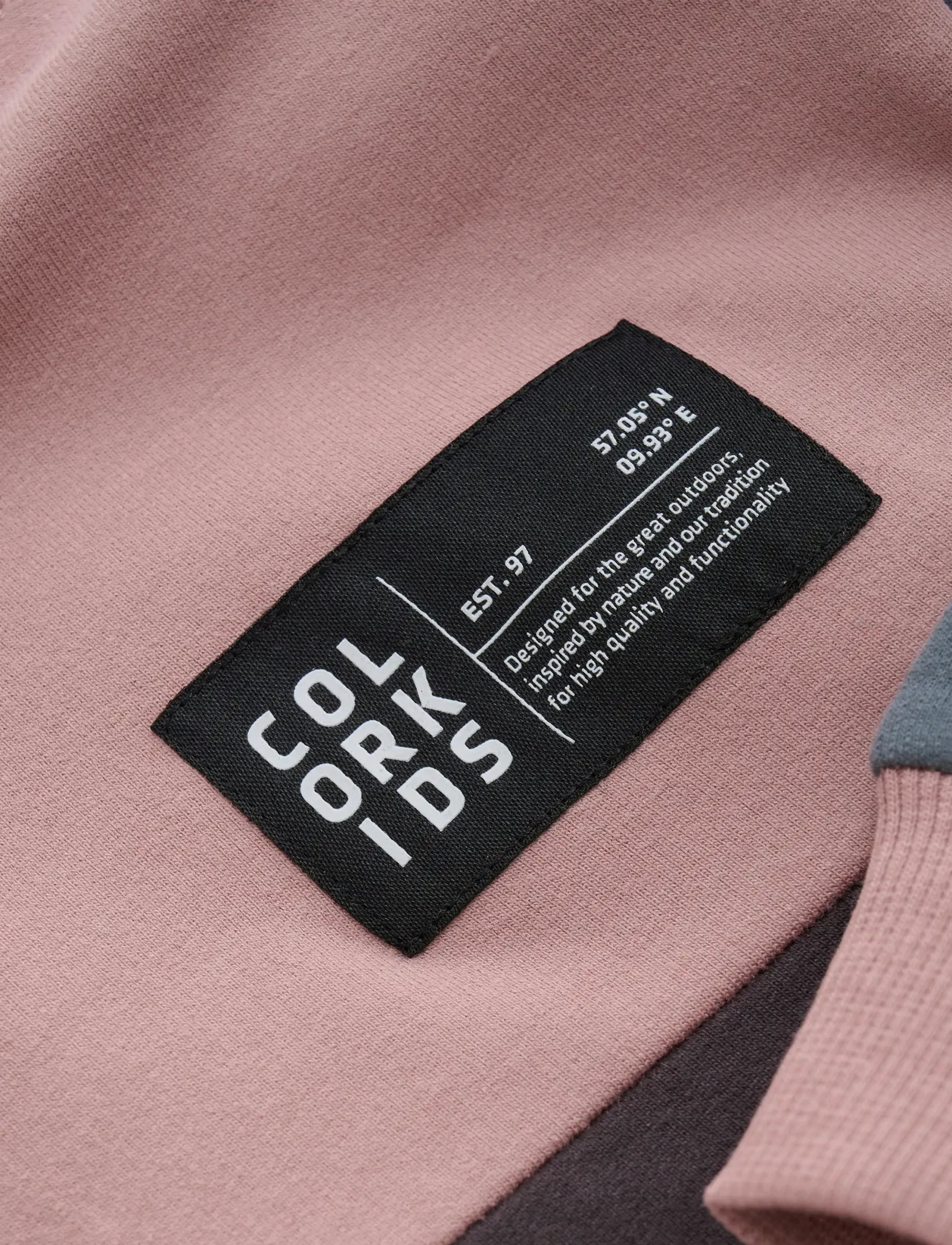 Color Kids - Sweat Hoodie - Colorblock - hættetrøjer - woodrose - 2