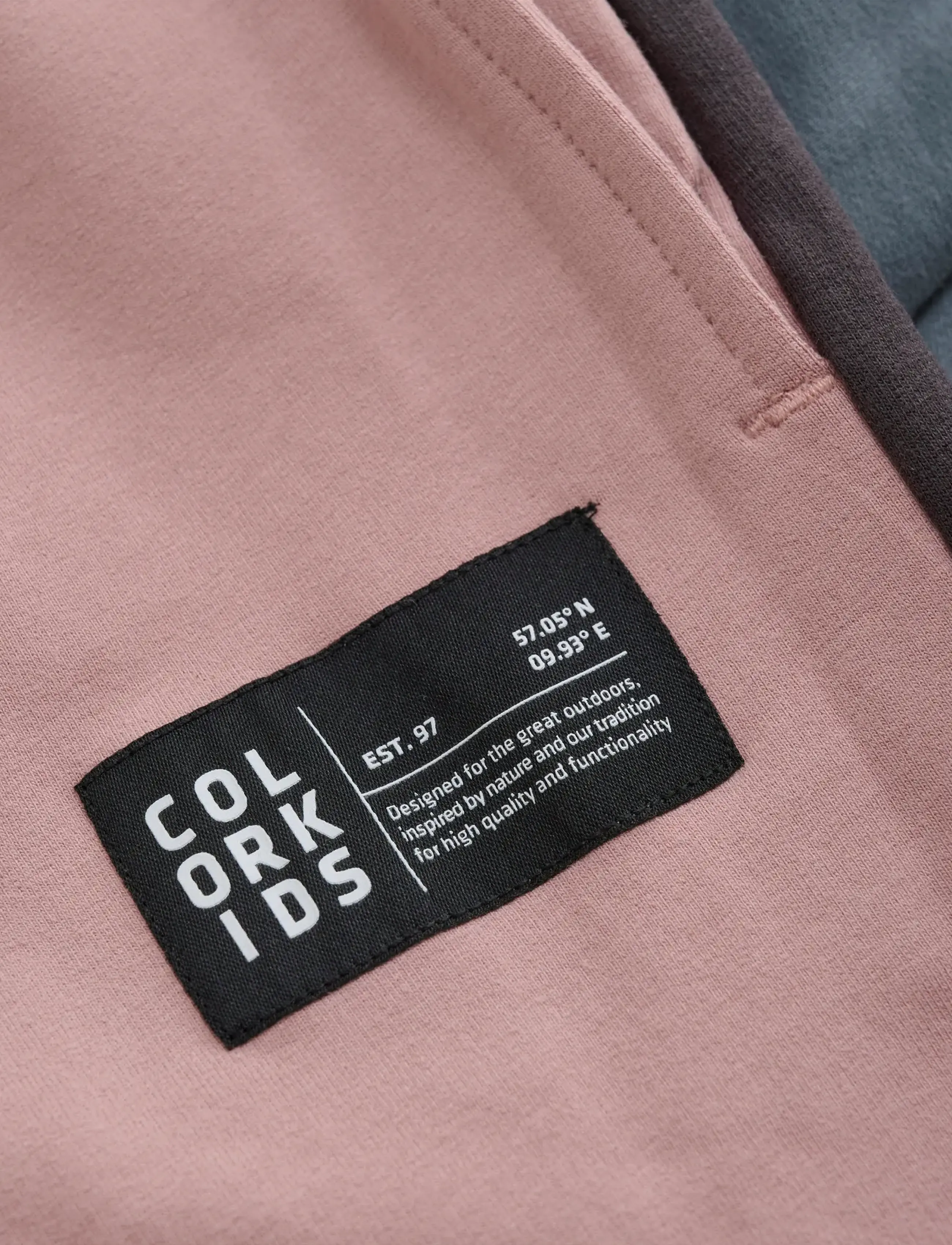 Color Kids - Sweat Pants - Colorblock - sweatpants - woodrose - 2