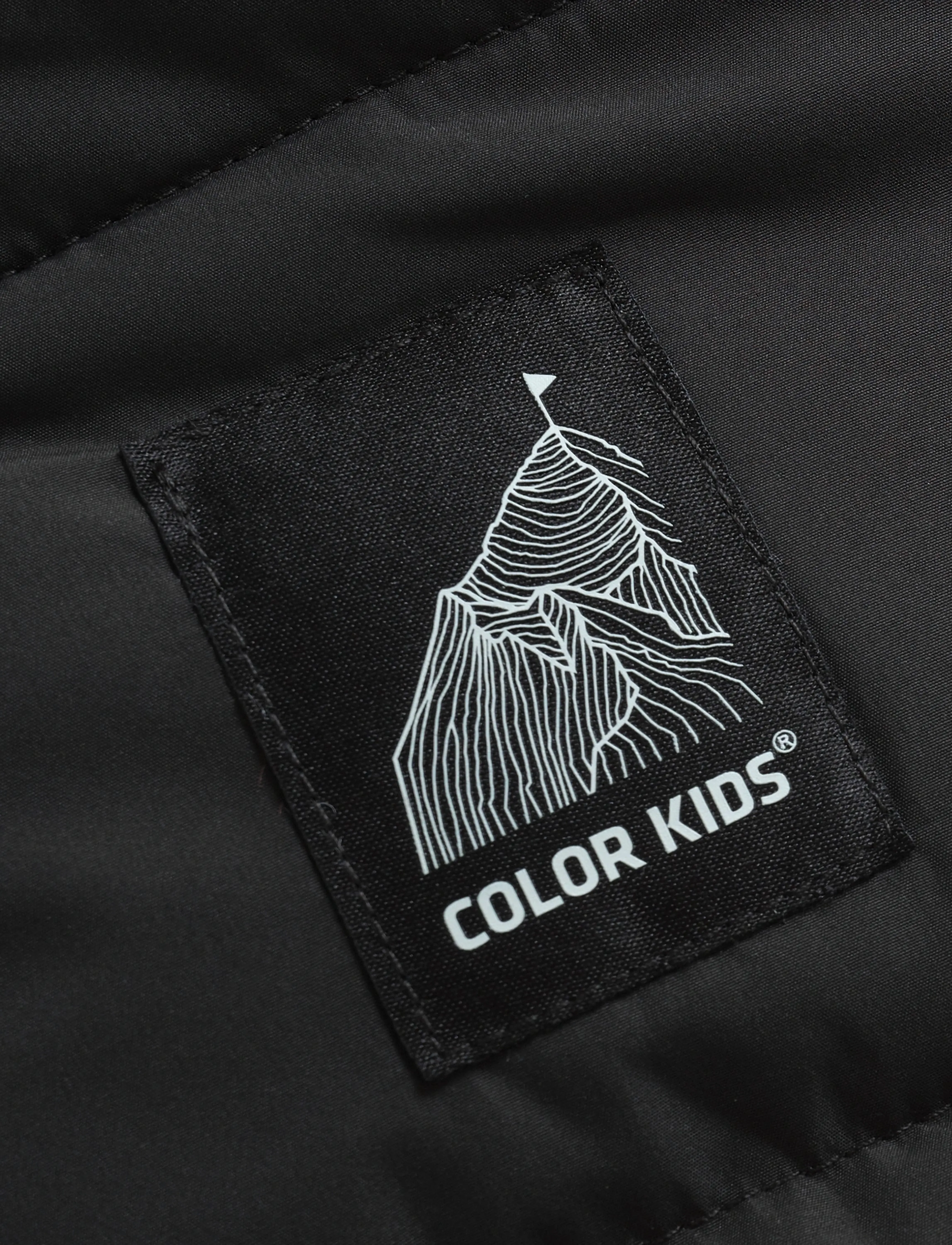 Color Kids - Jacket - isolerede jakker - phantom - 3