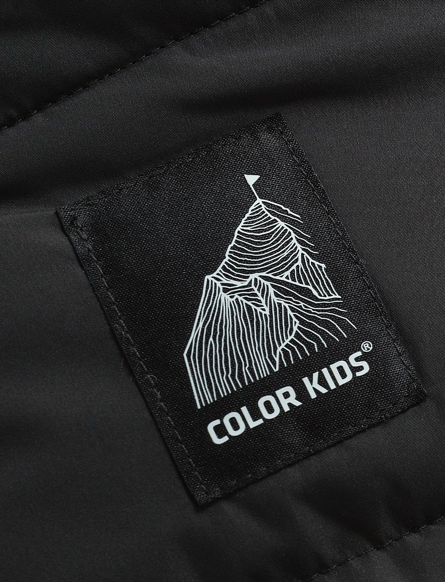 Color Kids - Jacket - isolerede jakker - phantom - 3