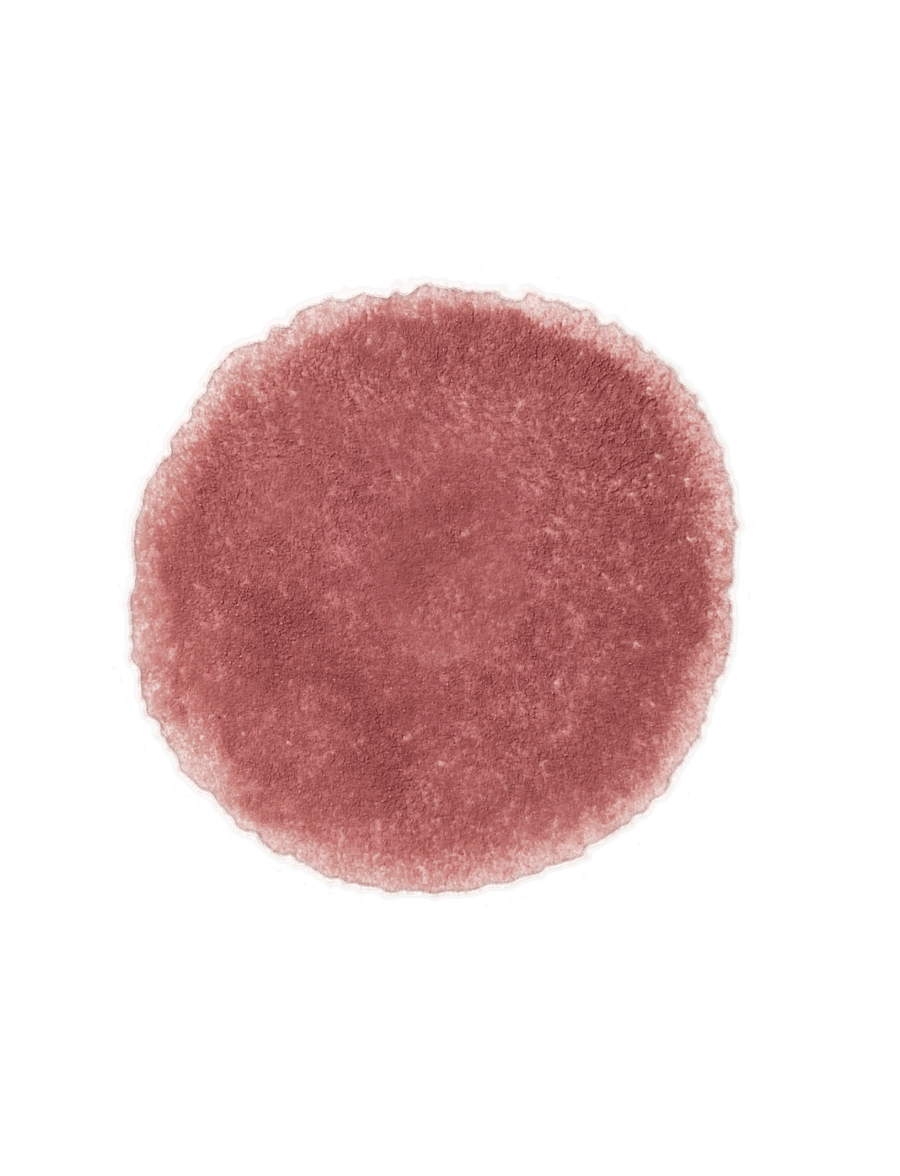 Colorgram - COLORGRAM Tintin Dory Blur Jam - makeup - 02 warm almond - 3