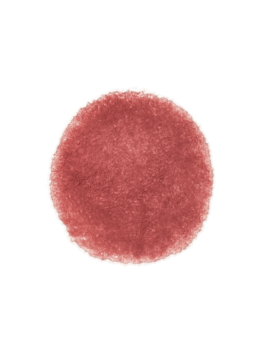 Colorgram - COLORGRAM Tintin Dory Blur Jam - makeup - 04 jujube brick - 3