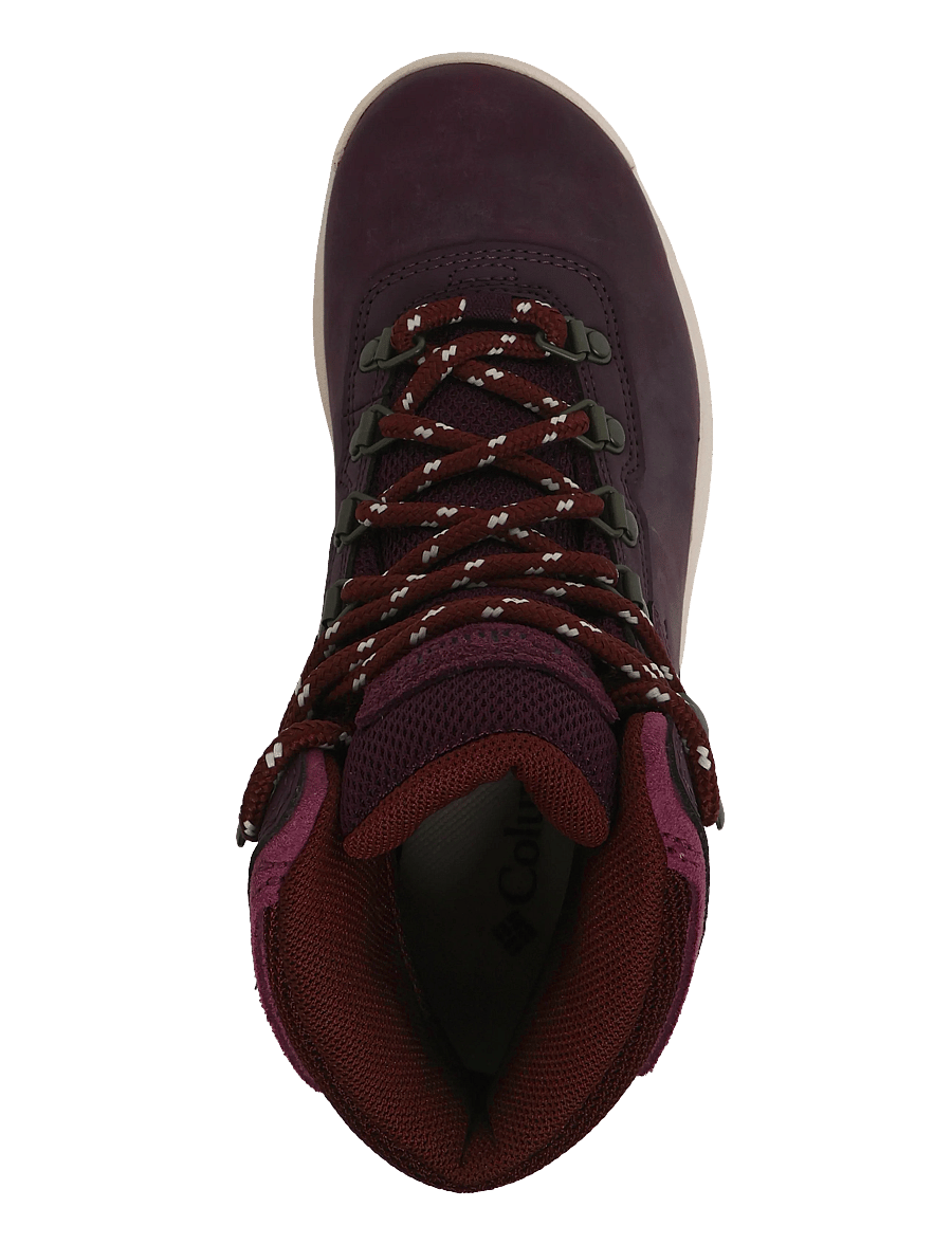 Columbia Sportswear - NEWTON RIDGE PLUS - wanderschuhe - moonvista, antique mauve - 3
