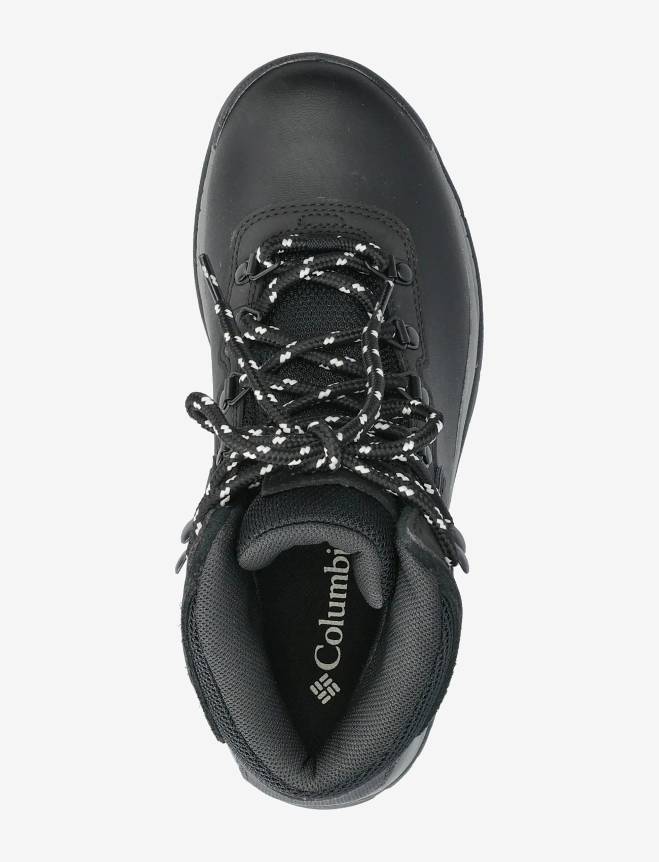 Columbia Sportswear - NEWTON RIDGE PLUS - black, chalk - 3