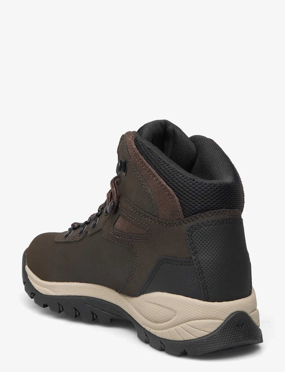 Columbia Sportswear - NEWTON RIDGE PLUS - vandringsskor - cordovan, crown jewel - 2