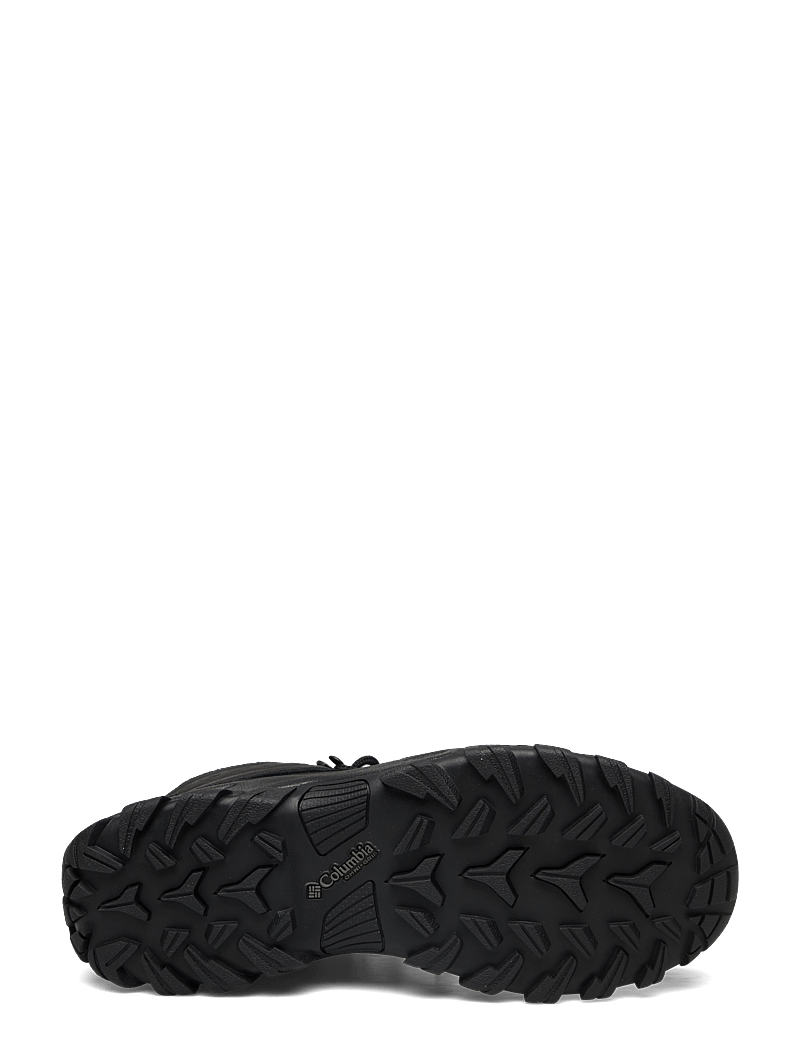 Columbia Sportswear - NEWTON RIDGE PLUS II WATERPROOF - vandringsskor - black, black - 4