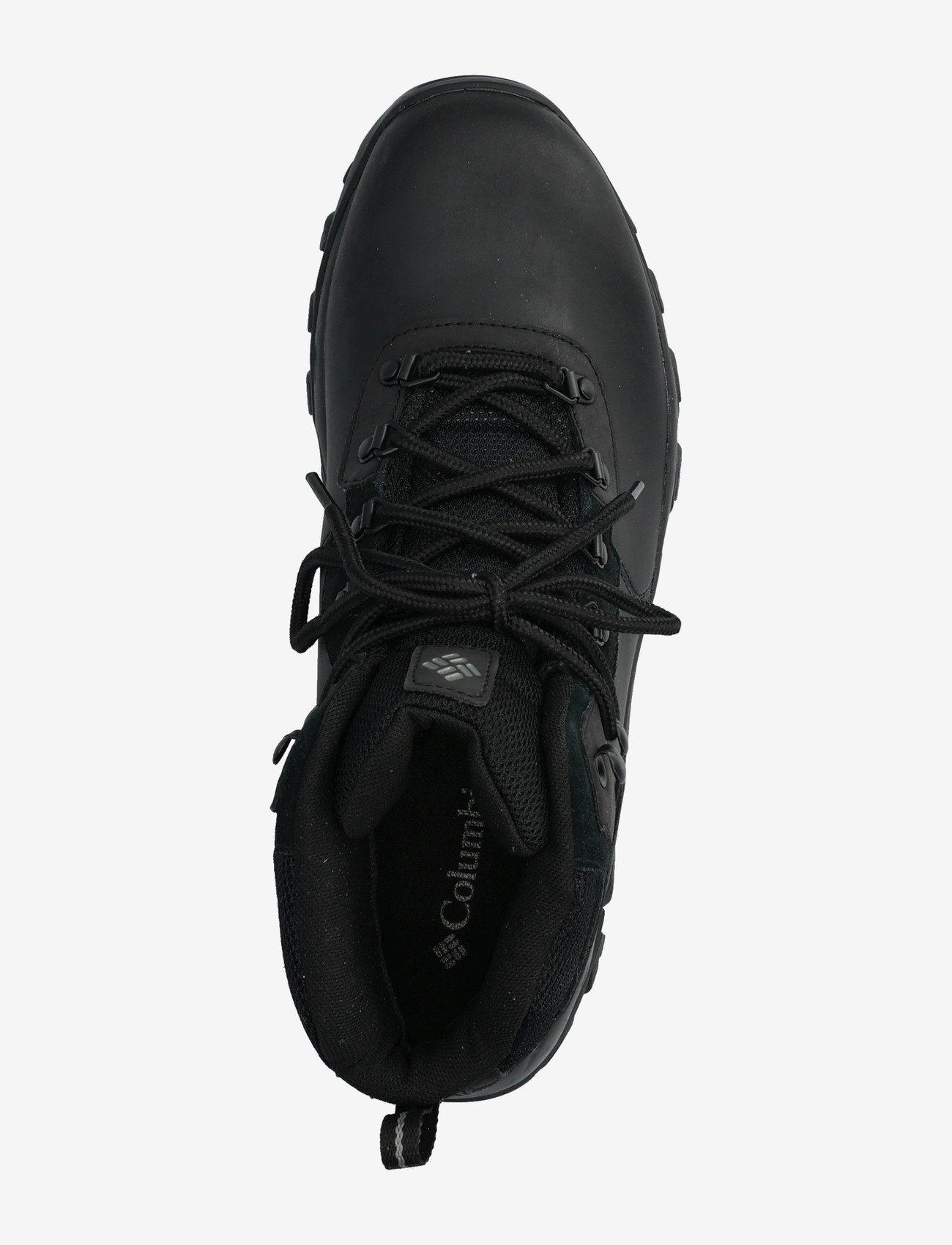 Columbia Sportswear - NEWTON RIDGE PLUS II WATERPROOF - wanderschuhe - black, black - 3