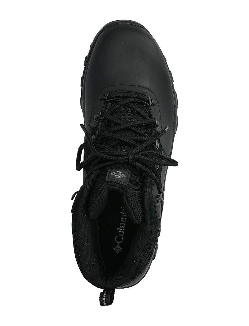 Columbia Sportswear - NEWTON RIDGE PLUS II WATERPROOF - wanderschuhe - black, black - 3