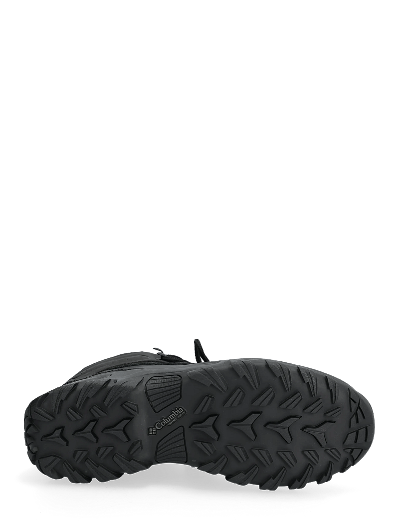 Columbia Sportswear - NEWTON RIDGE PLUS II WATERPROOF - wanderschuhe - black, black - 4