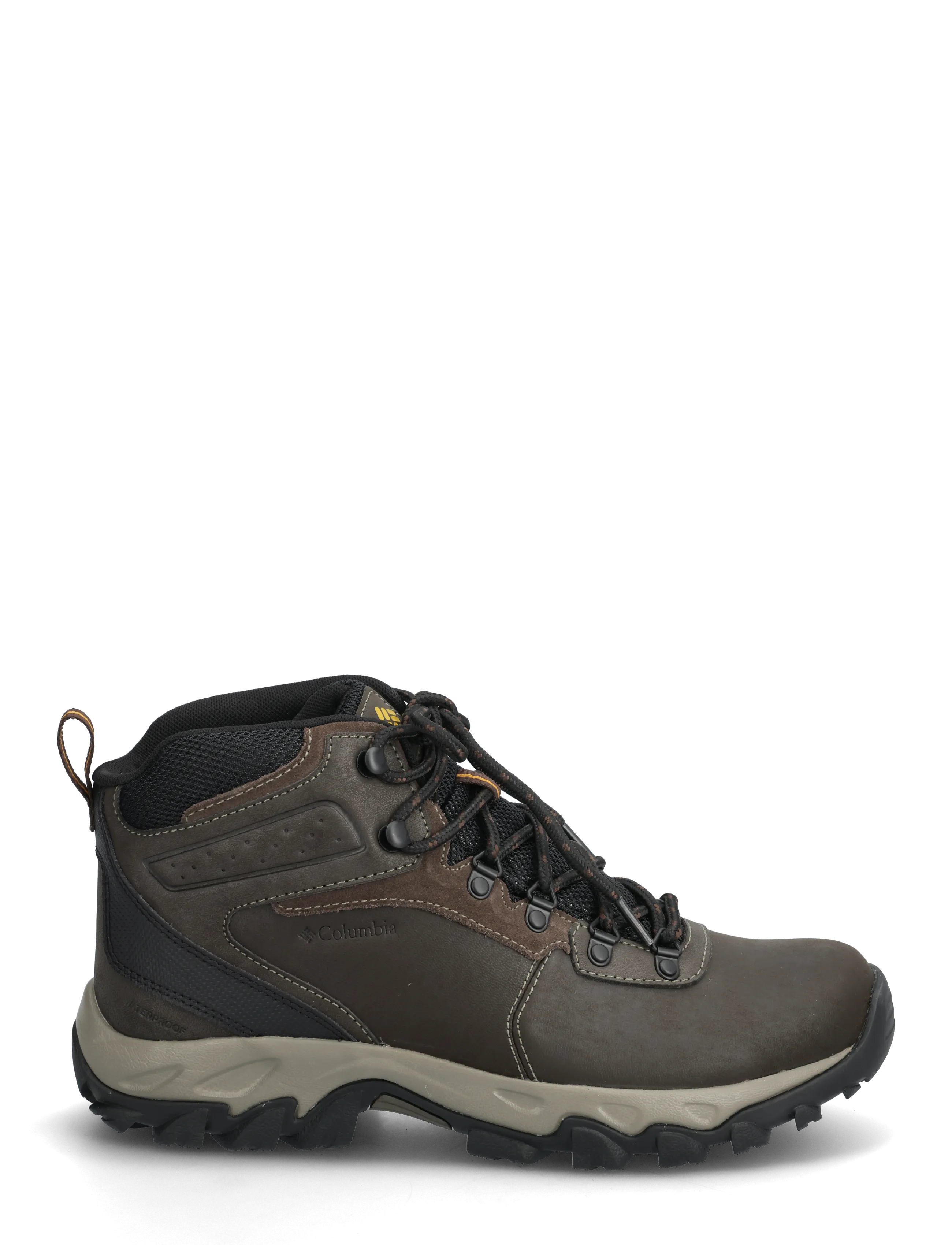 Columbia Sportswear - NEWTON RIDGE PLUS II WATERPROOF - wanderschuhe - cordovan, squash - 1