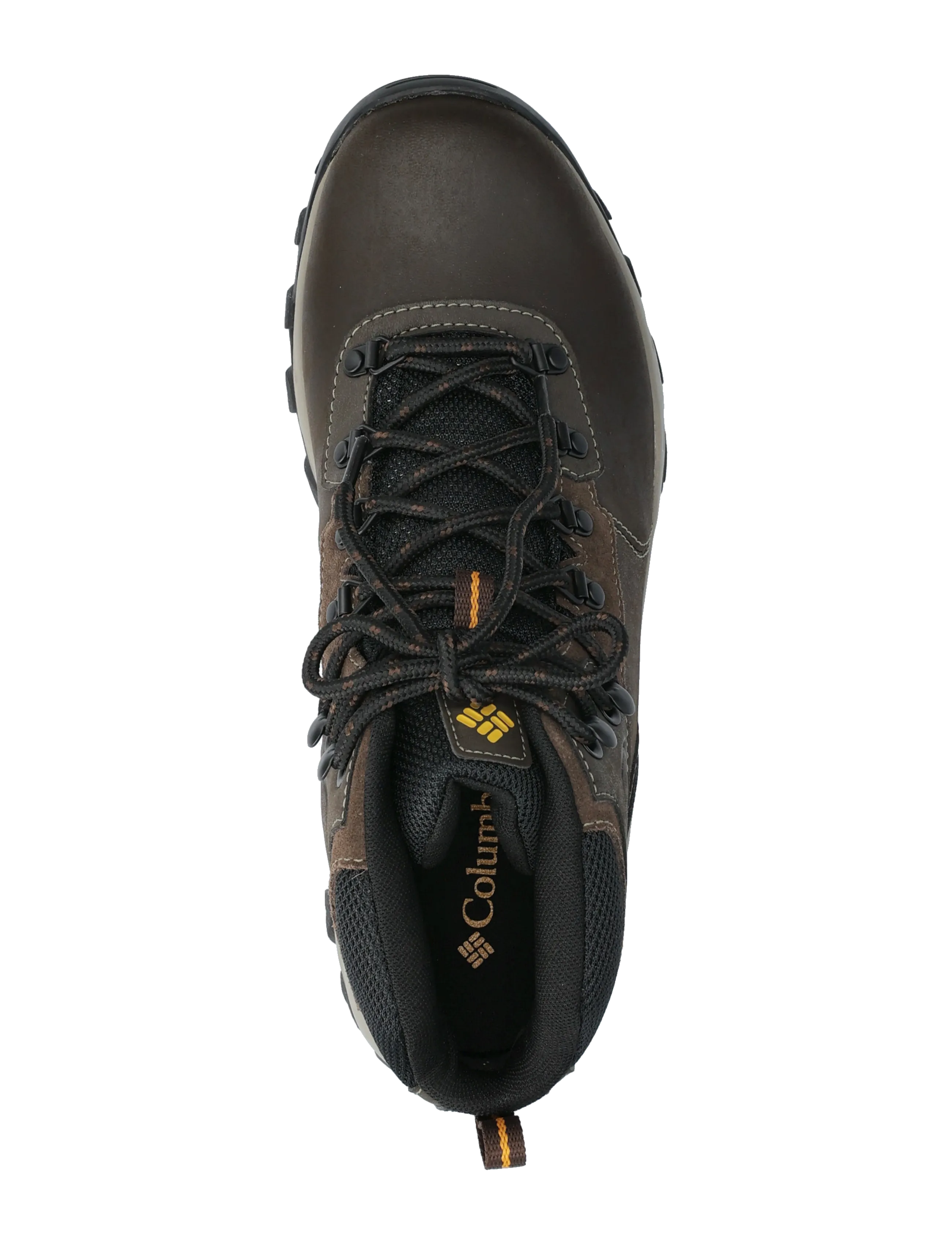 Columbia Sportswear - NEWTON RIDGE PLUS II WATERPROOF - wanderschuhe - cordovan, squash - 3