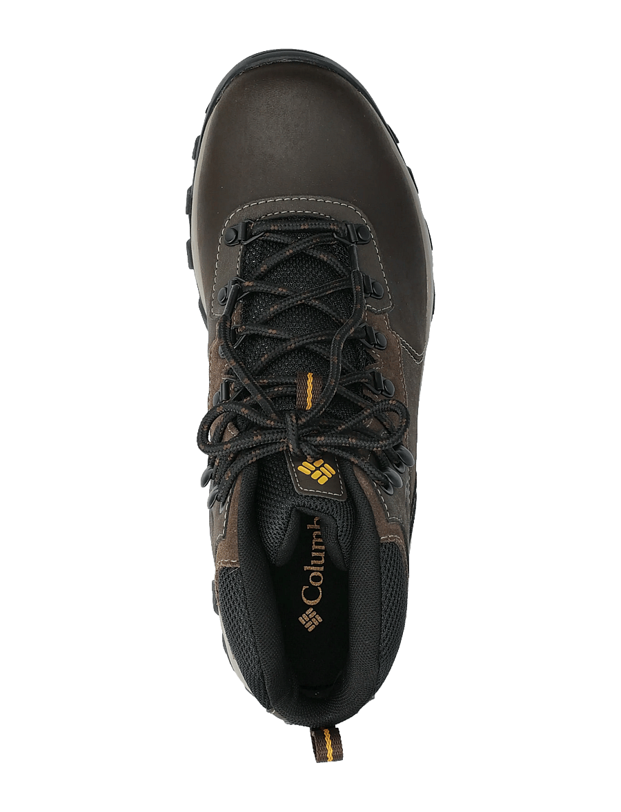 Columbia Sportswear - NEWTON RIDGE PLUS II WATERPROOF - wanderschuhe - cordovan, squash - 3