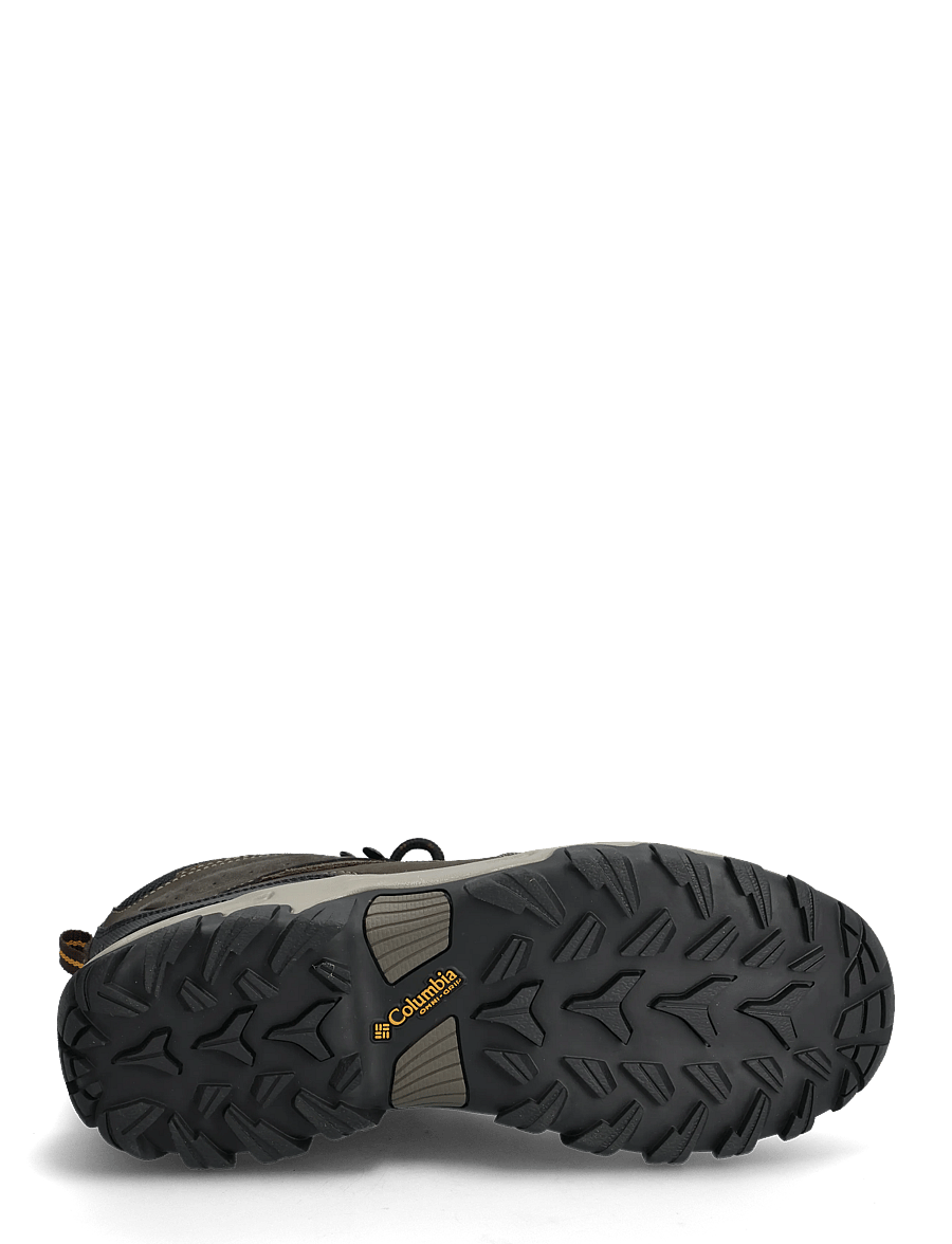 Columbia Sportswear - NEWTON RIDGE PLUS II WATERPROOF - wanderschuhe - cordovan, squash - 4