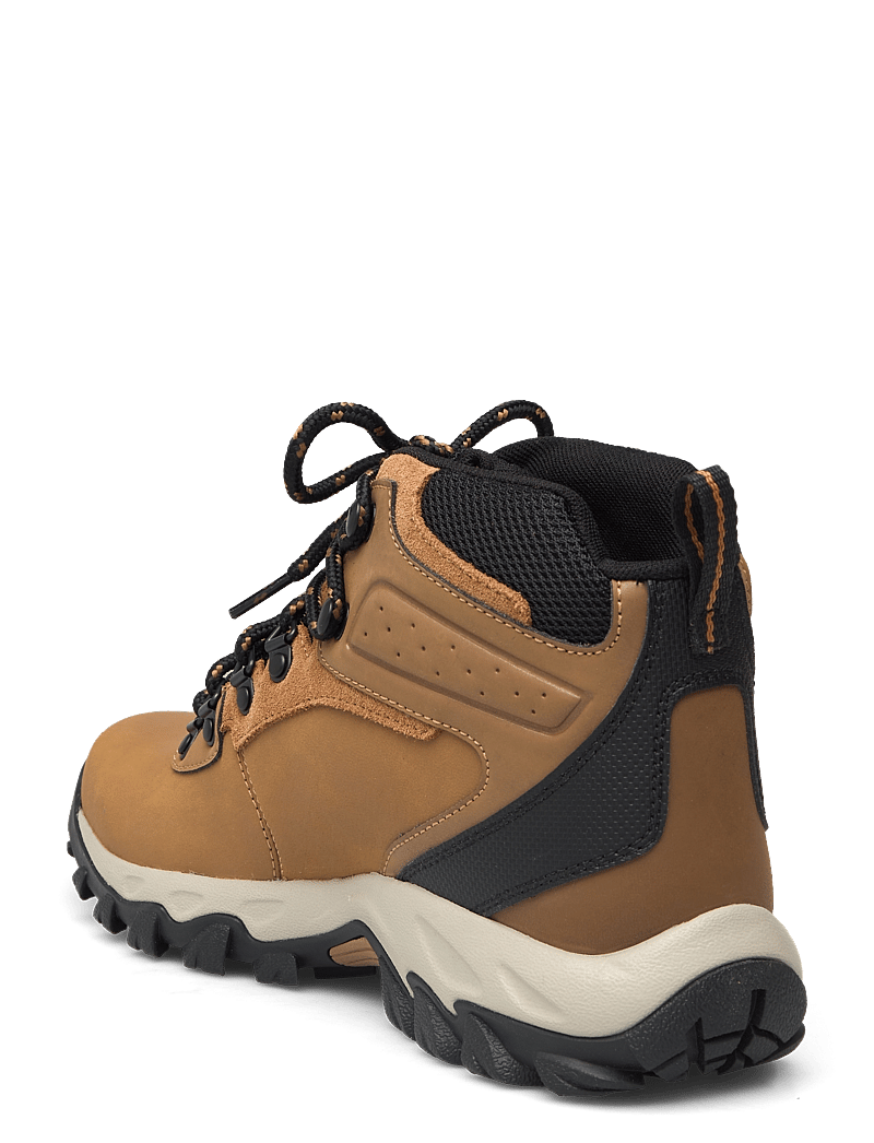 Columbia Sportswear - NEWTON RIDGE PLUS II WATERPROOF - hiking shoes - elk, black - 2