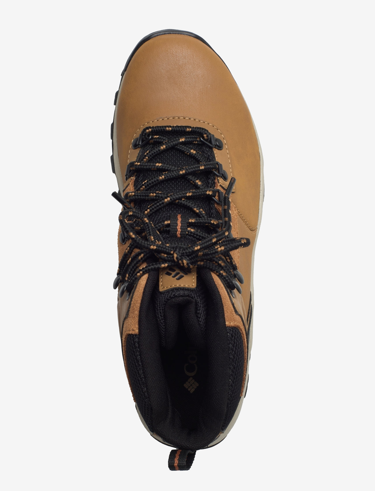 Columbia Sportswear - NEWTON RIDGE PLUS II WATERPROOF - hiking shoes - elk, black - 3