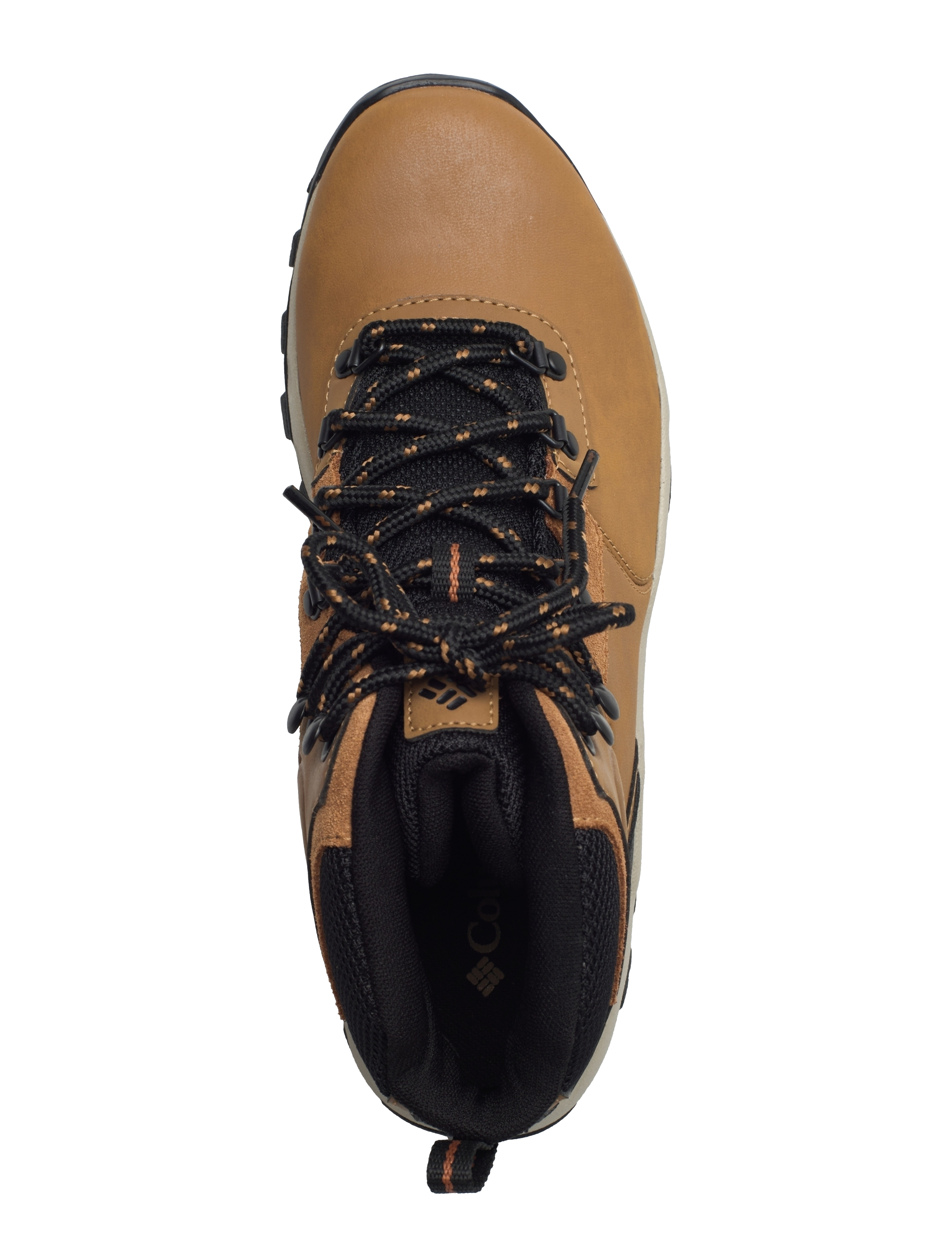 Columbia Sportswear - NEWTON RIDGE PLUS II WATERPROOF - vandresko - elk, black - 3