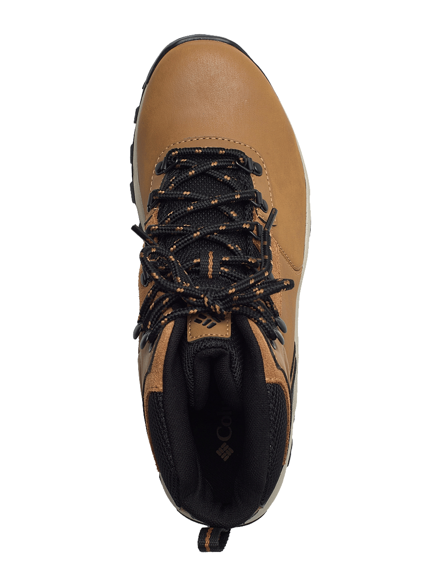 Columbia Sportswear - NEWTON RIDGE PLUS II WATERPROOF - vandresko - elk, black - 3
