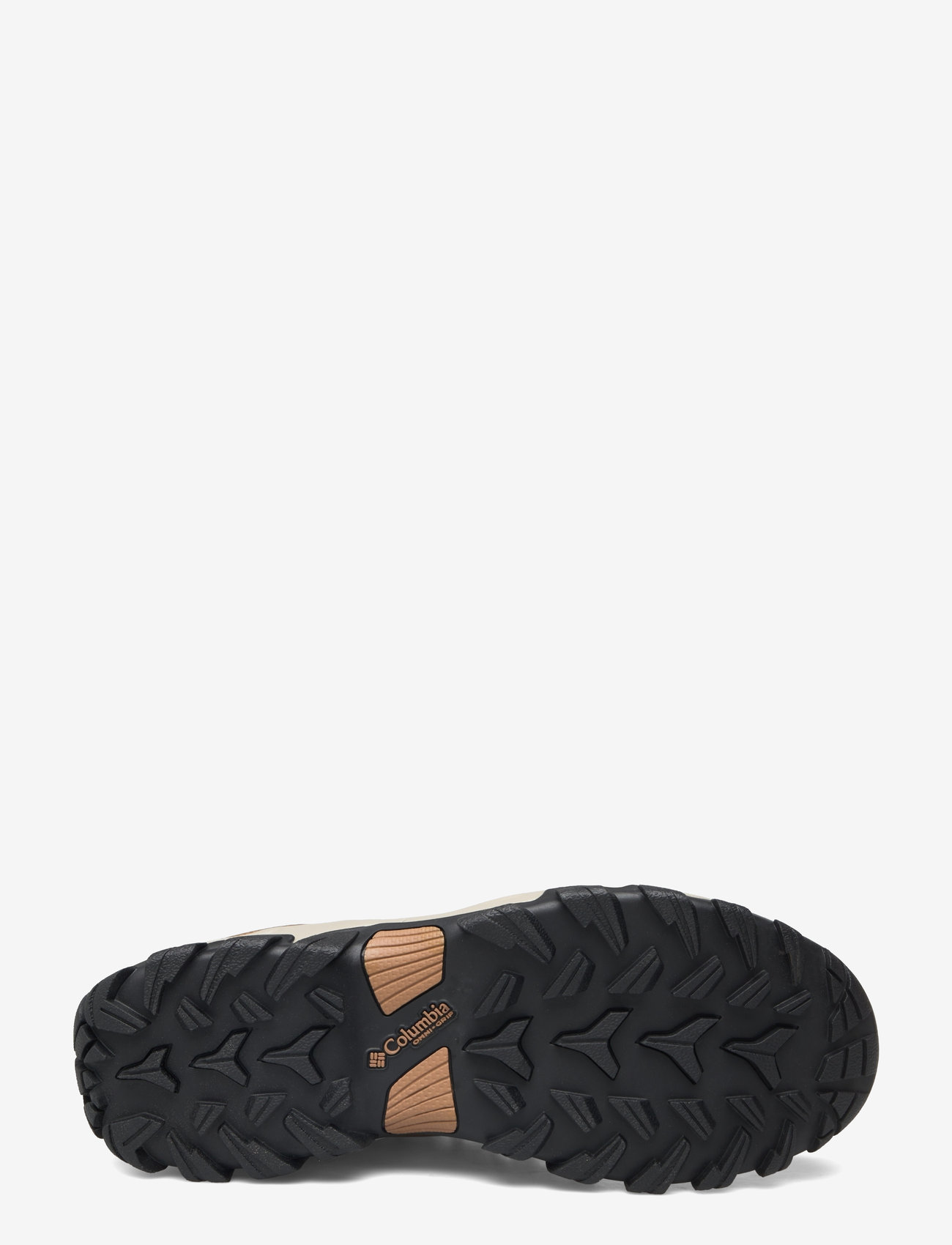 Columbia Sportswear - NEWTON RIDGE PLUS II WATERPROOF - hiking shoes - elk, black - 4