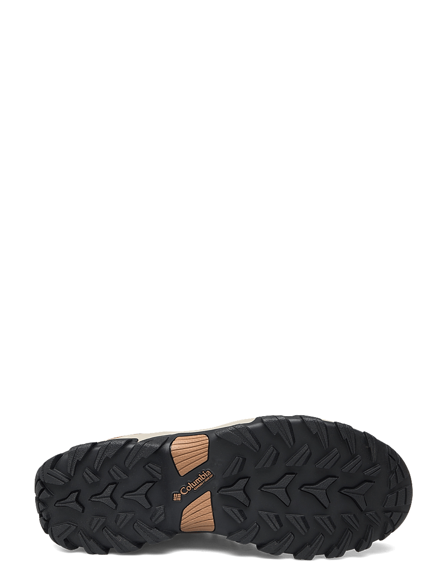 Columbia Sportswear - NEWTON RIDGE PLUS II WATERPROOF - vandresko - elk, black - 4