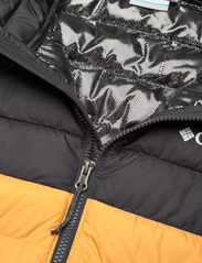 Columbia Sportswear - Powder Lite Jacket - winter jackets - raw honey, shark - 2