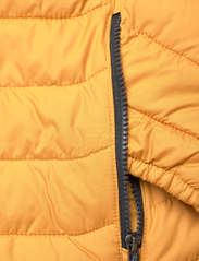Columbia Sportswear - Powder Lite Jacket - winter jackets - raw honey, shark - 3