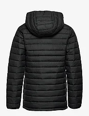 Columbia Sportswear - Powder Lite Boys Hooded Jacket - insulated jackets - black - 1