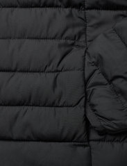 Columbia Sportswear - Powder Lite Boys Jacket - geïsoleerde jassen - black - 3