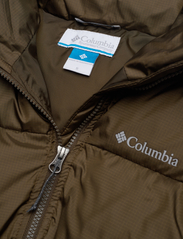 Columbia Sportswear - Puffect Jacket - pūkinės ir paminkštintosios striukės - olive green - 2