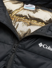 Columbia Sportswear - Bulo Point II Down Jacket - talvitakit - black - 3