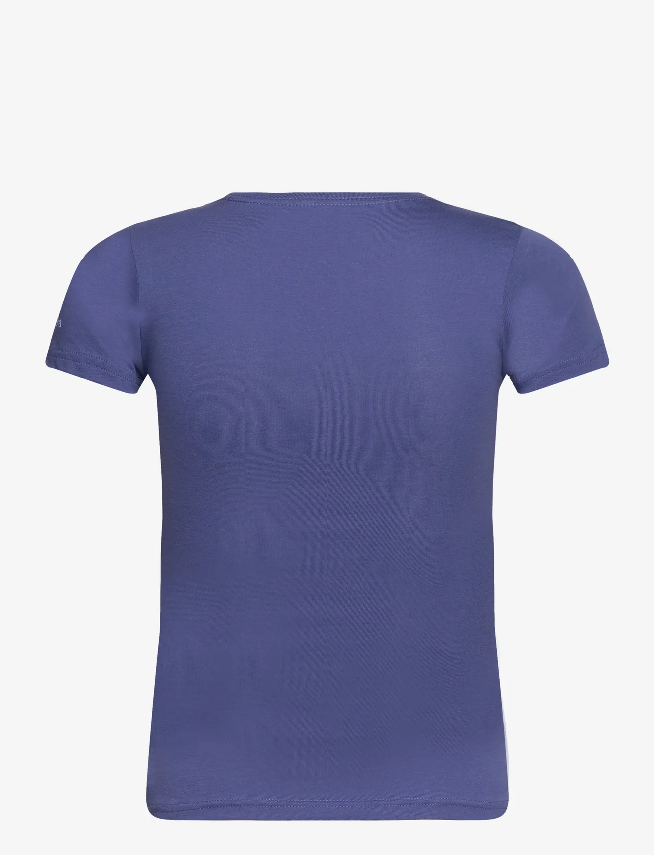 Columbia Sportswear - Mission Lake Short Sleeve Graphic Shirt - kortermede t-skjorter - eve, geobear - 1