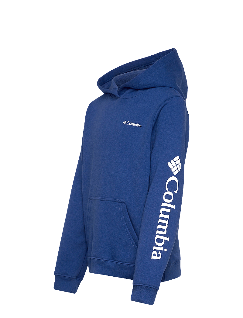 Columbia Sportswear - Columbia Trek Hoodie - džemperi ar kapuci - mountain blue - 2