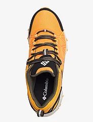 Columbia Sportswear - PEAKFREAK II OUTDRY - hiking shoes - marmalade, white - 3