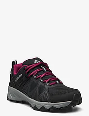 Columbia Sportswear - PEAKFREAK II OUTDRY - hiking shoes - black, ti grey steel - 0
