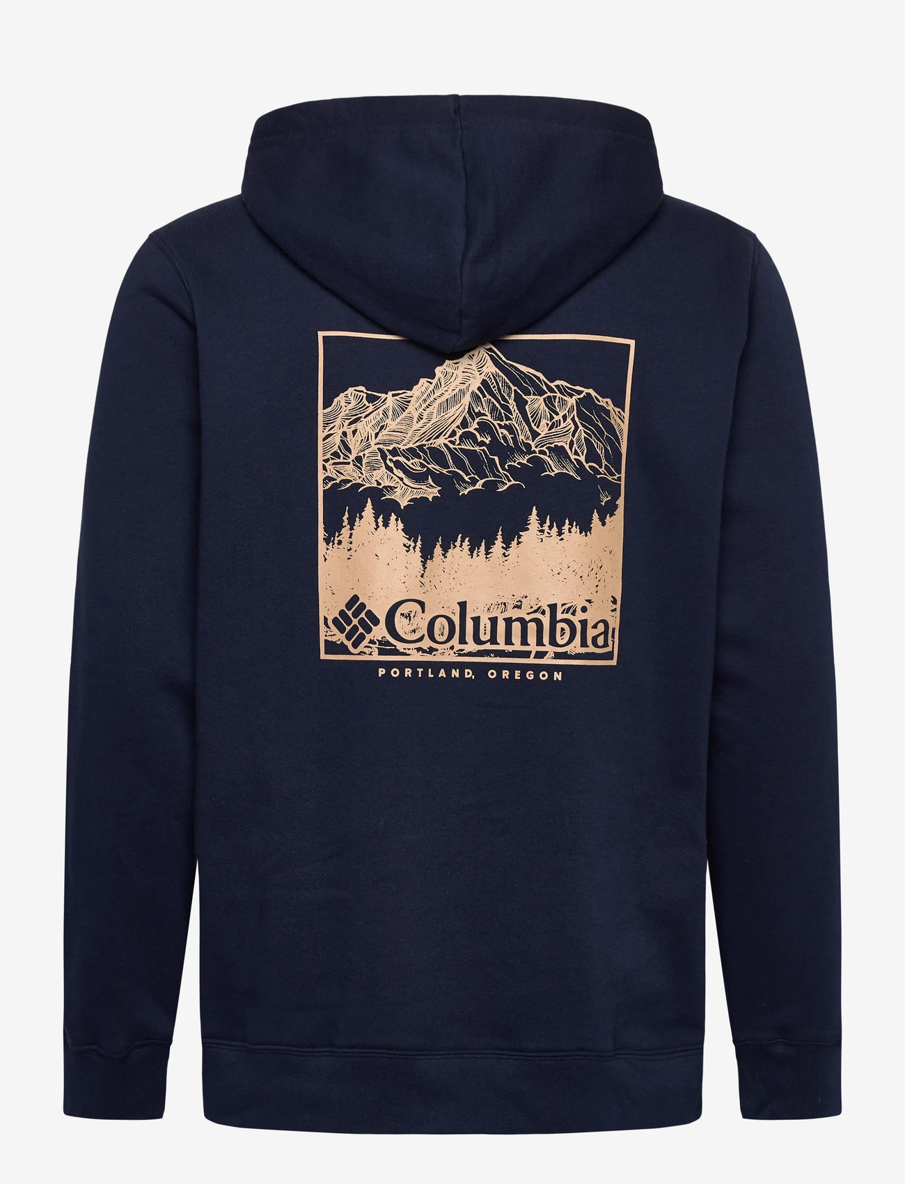 Columbia Sportswear - Columbia Trek Graphic Hoodie - overdele - collegiate navy, meadowland - 1