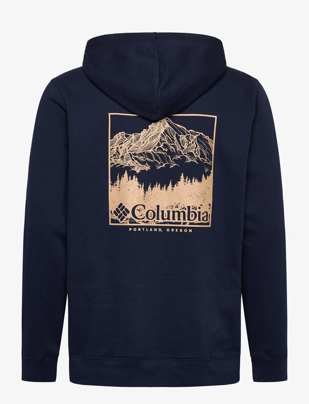 Columbia Sportswear - Columbia Trek Graphic Hoodie - huvtröjor - collegiate navy, meadowland - 1