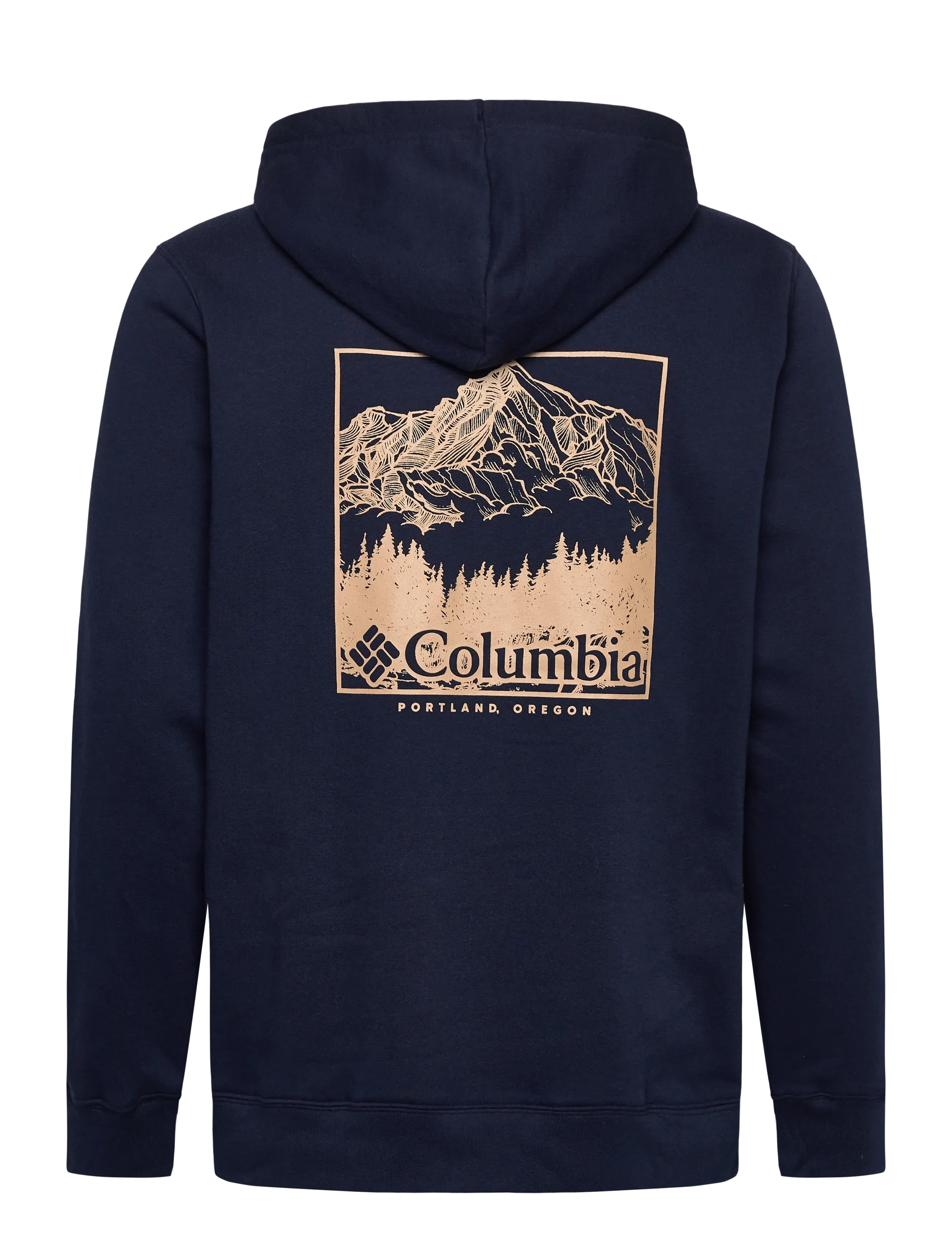 Columbia Sportswear - Columbia Trek Graphic Hoodie - overdele - collegiate navy, meadowland - 1