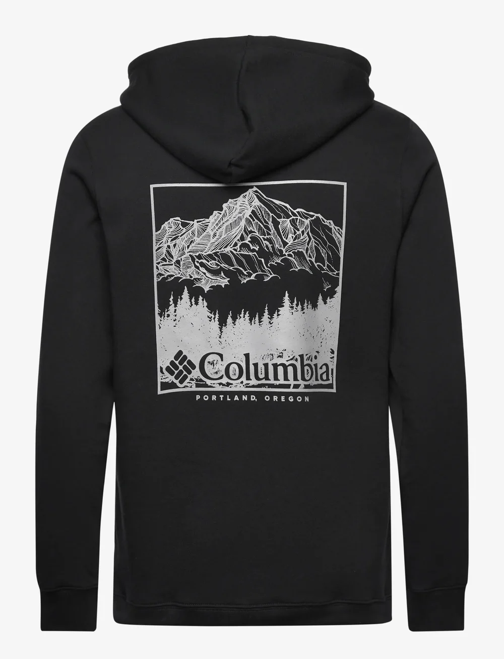 Columbia Sportswear - Columbia Trek Graphic Hoodie - huvtröjor - black, meadowland - 1
