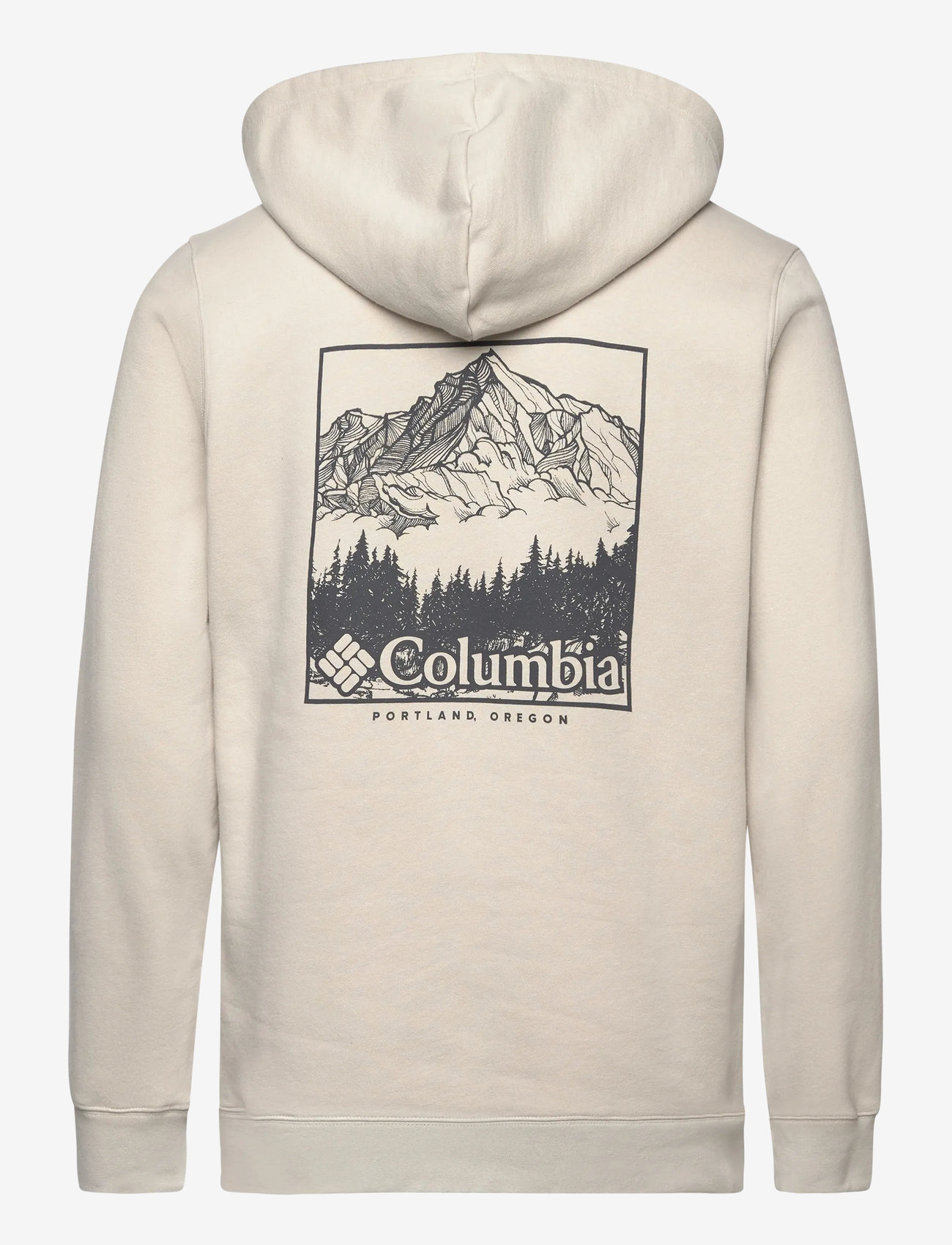 Columbia Sportswear - Columbia Trek Graphic Hoodie - huvtröjor - dark stone, meadowland - 1