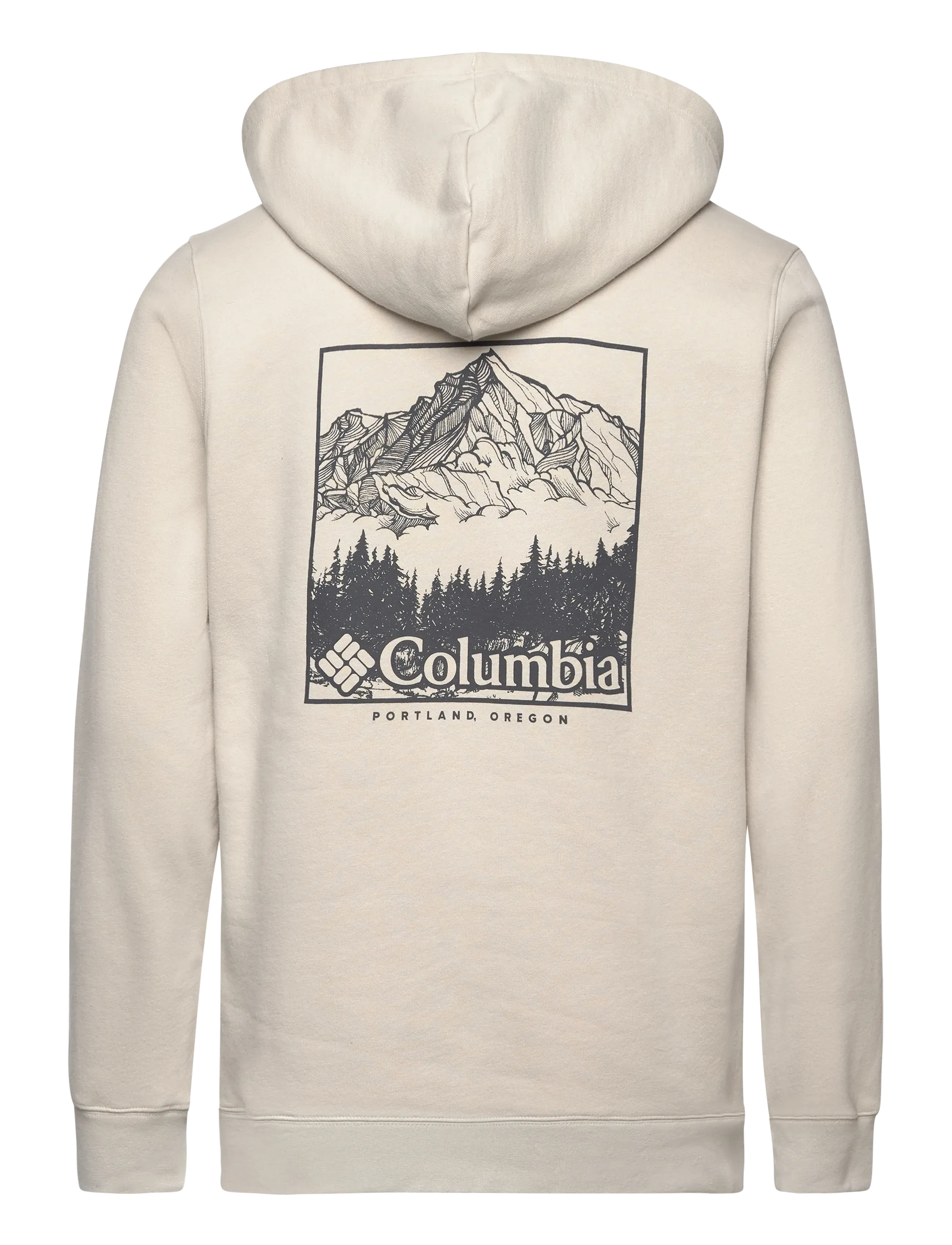 Columbia Sportswear - Columbia Trek Graphic Hoodie - overdele - dark stone, meadowland - 1