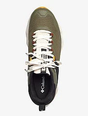 Columbia Sportswear - FACET 75 OUTDRY - wandelschoenen - nori, black - 3