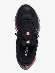 Columbia Sportswear - FACET 75 OUTDRY - hiking shoes - black, wild geranium - 3