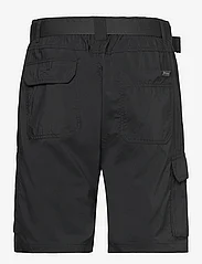 Columbia Sportswear - Silver Ridge Utility Cargo Short - udendørsshorts - black - 1