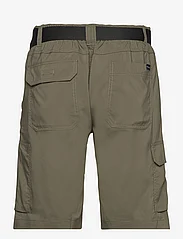 Columbia Sportswear - Silver Ridge Utility Cargo Short - outdoorshorts - stone green - 1