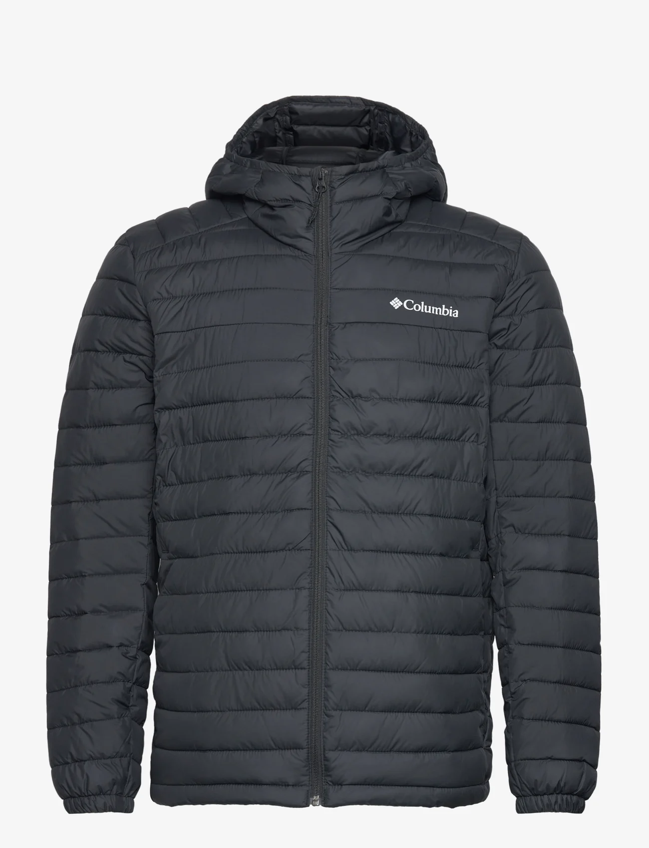 Columbia Sportswear - Silver Falls Hooded Jacket - Žieminės striukės - black - 0